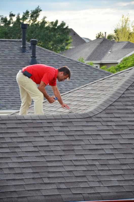 Experienced Roof Repair Specialists