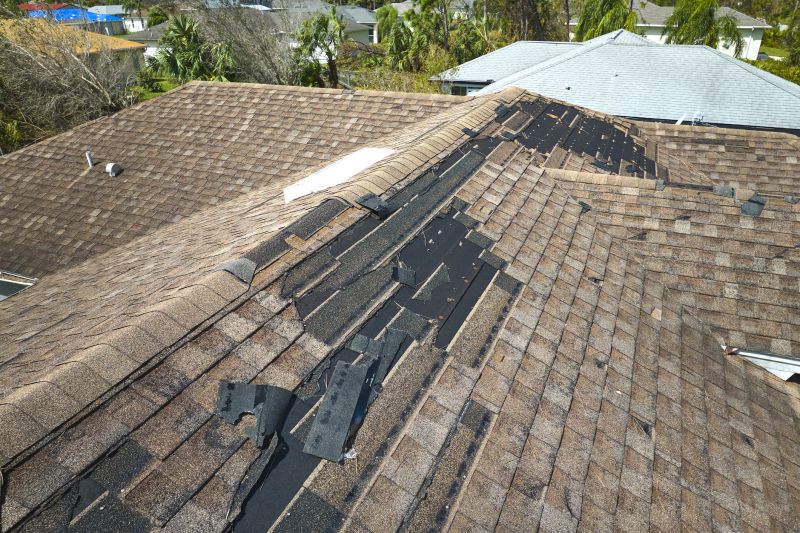 Roof Damage Repair
